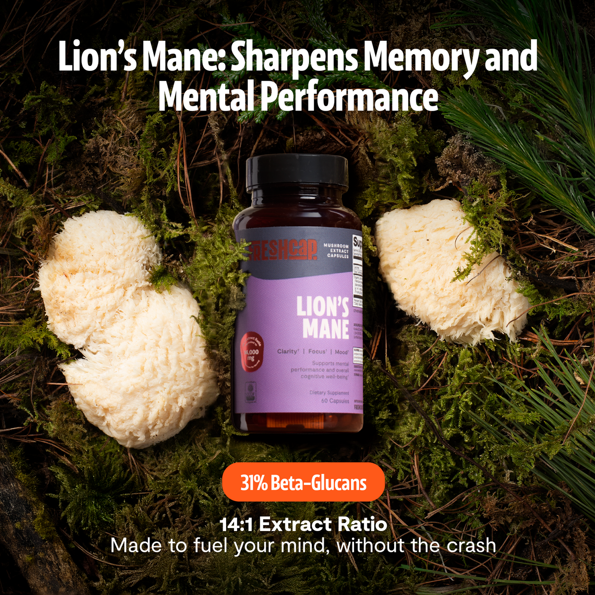 Organic Lion’s Mane Capsules
