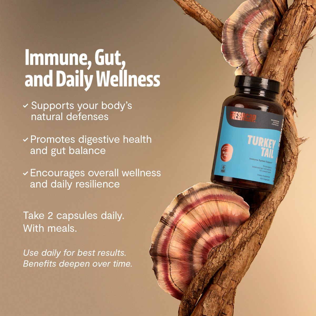 Organic Turkey Tail Mushroom Capsules