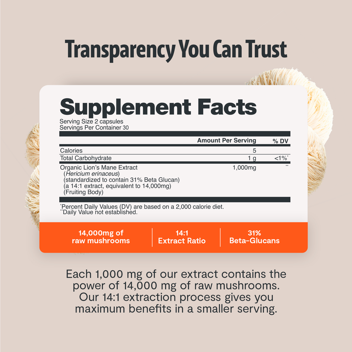 Organic Lion’s Mane Capsules
