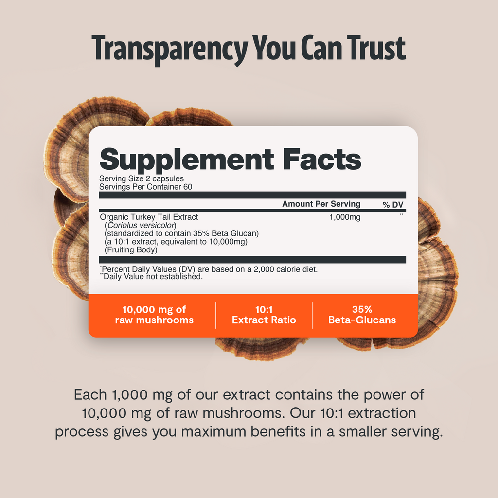 Organic Turkey Tail Mushroom Capsules