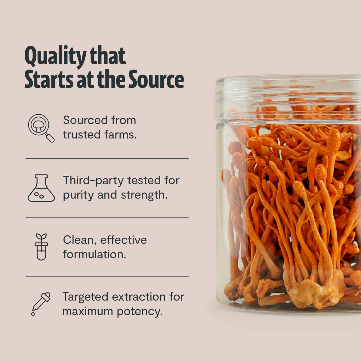 Cordyceps Mushroom Extract Powder