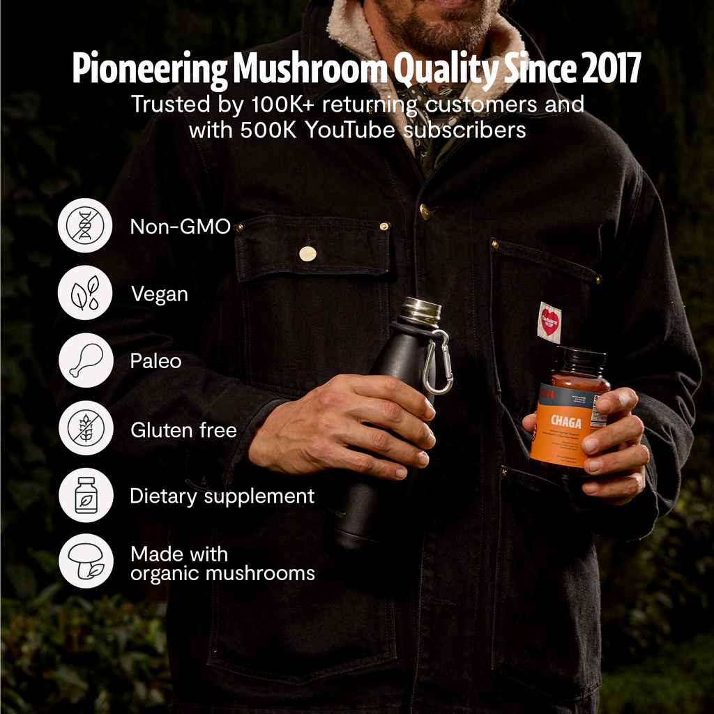 Chaga Mushroom Extract Capsules