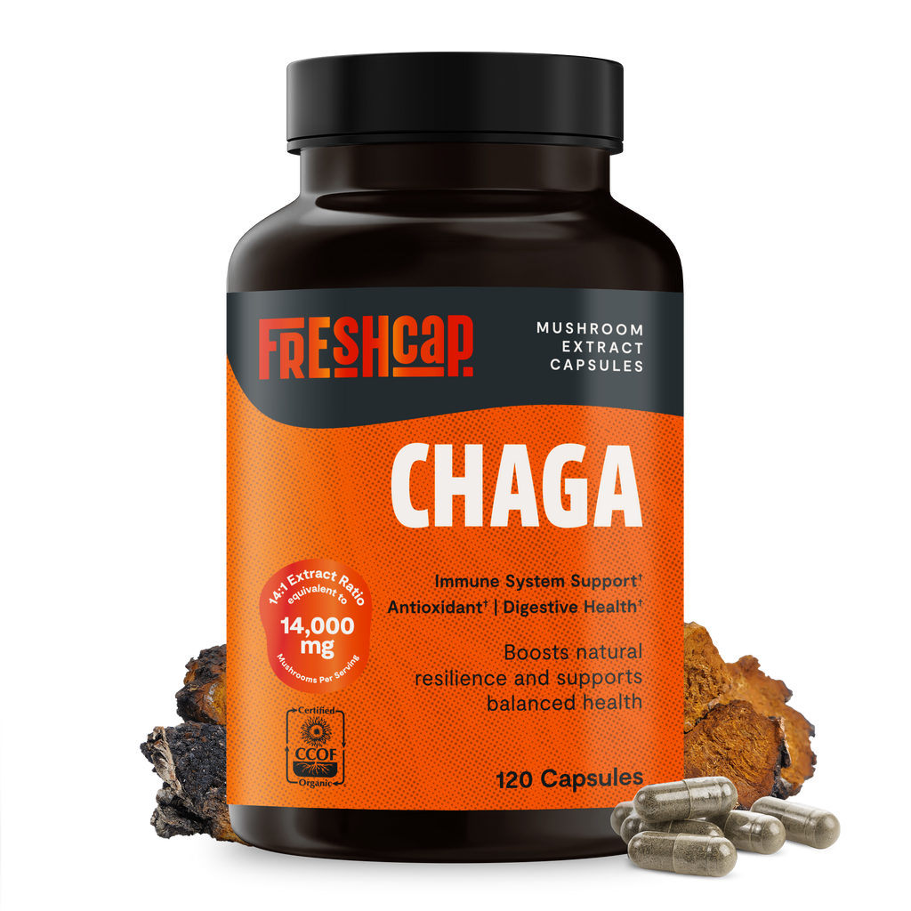 Chaga Mushroom Extract Capsules