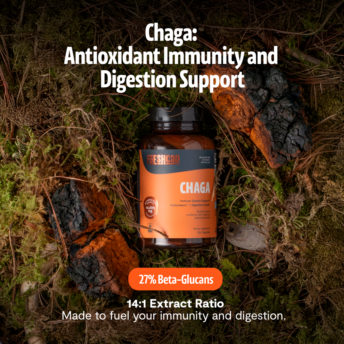 Chaga Mushroom Extract Capsules
