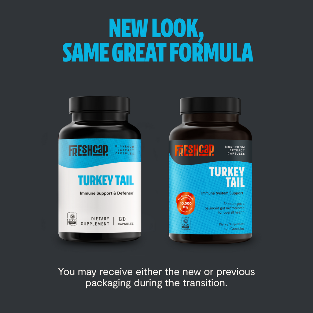 Organic Turkey Tail Mushroom Capsules