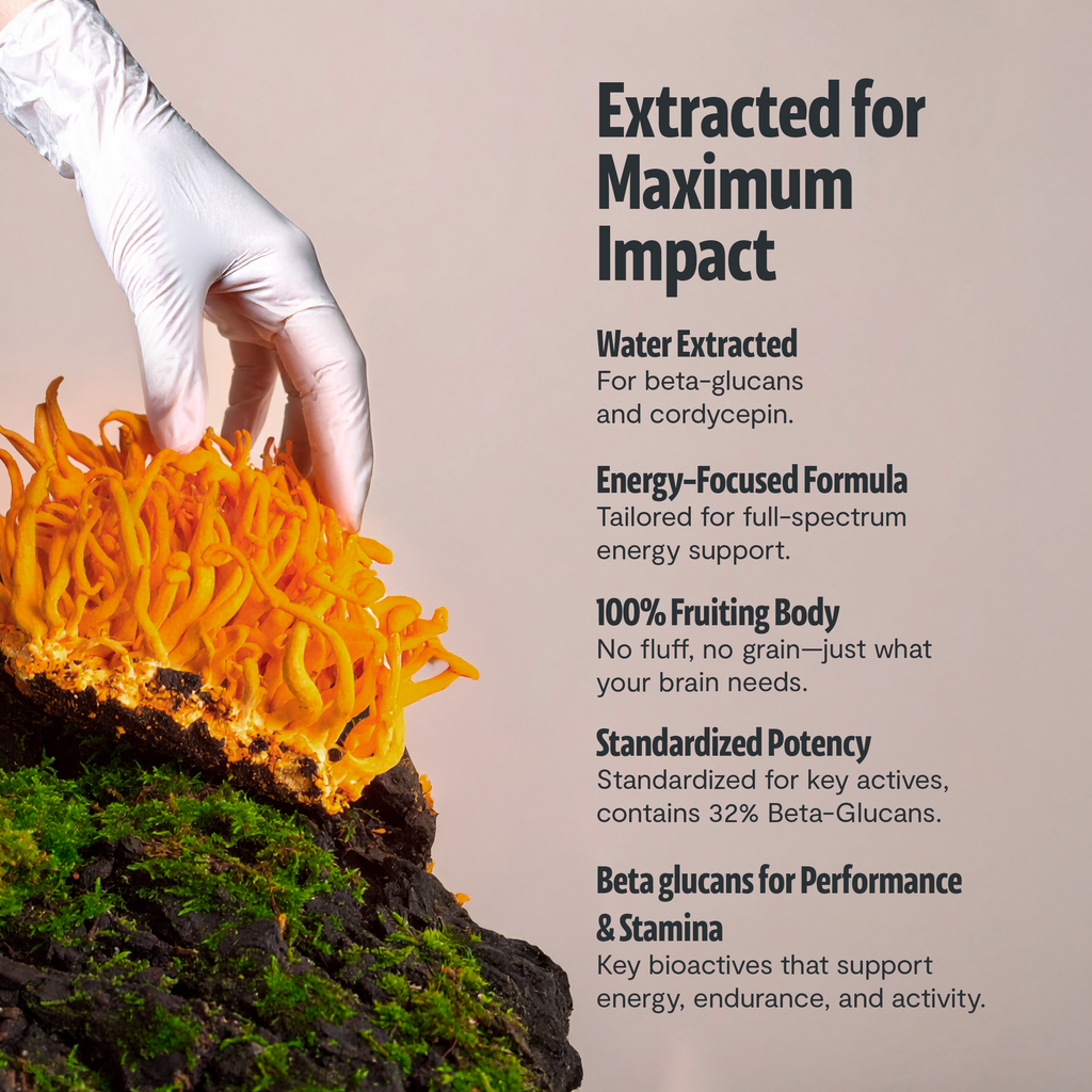 Cordyceps Mushroom Extract Powder