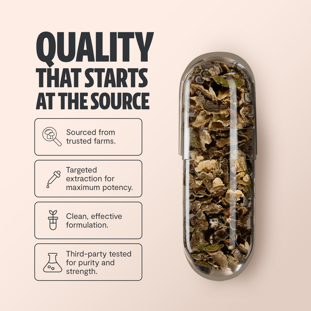 Organic Turkey Tail Mushroom Capsules